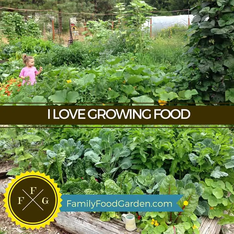 Grow Fresh & Healthy Food for Your Family