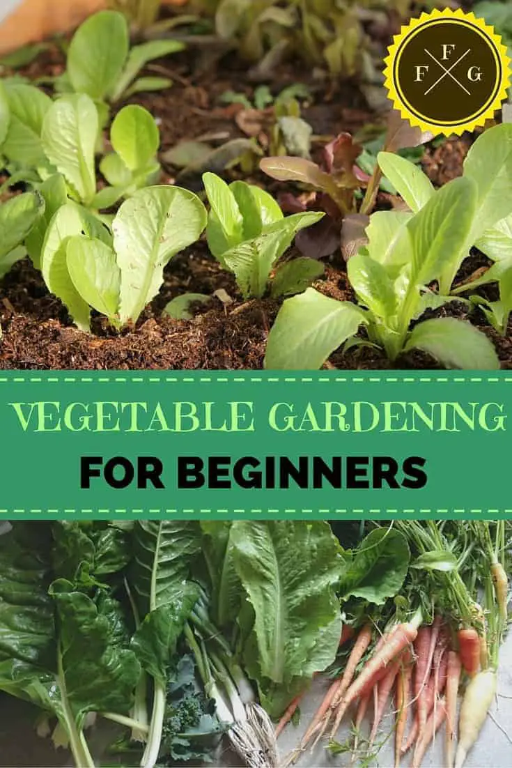 Vegetable Gardening for Beginners