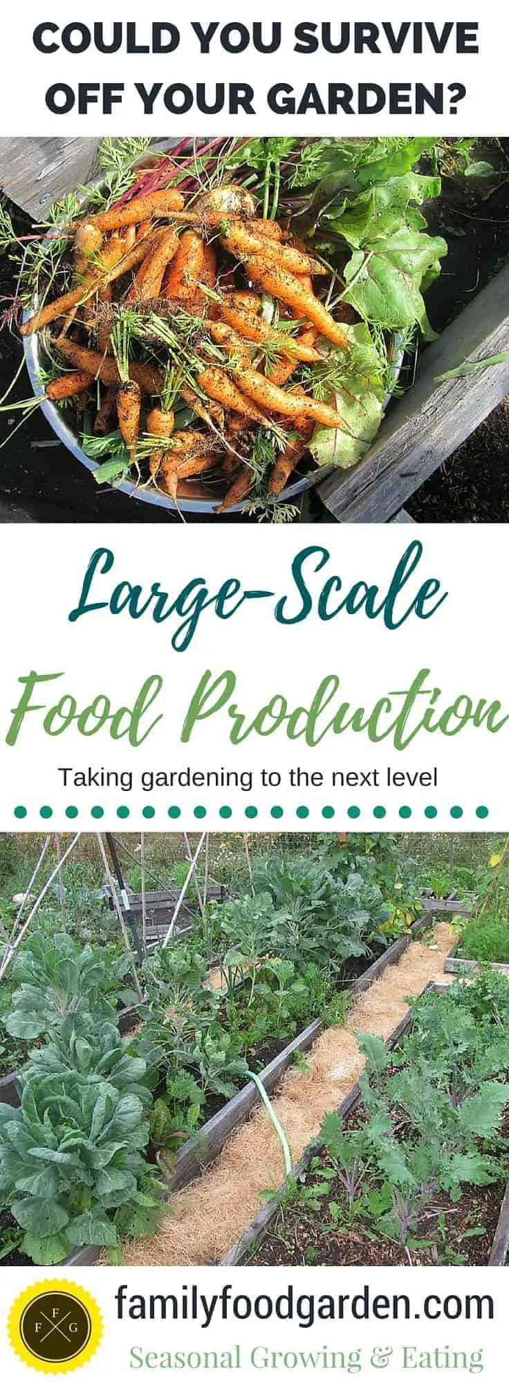 Large-Scale Vegetable Gardening to Feed your Family