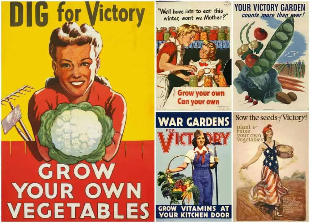 Growing a Modern Day Victory Garden for Troubled Times