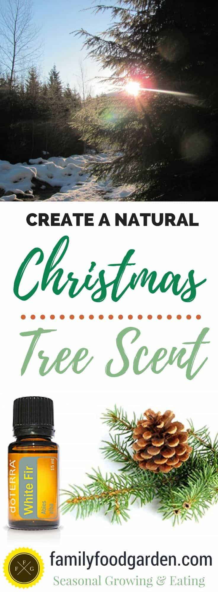 How to Get that Natural Christmas Tree Smell (without a real tree