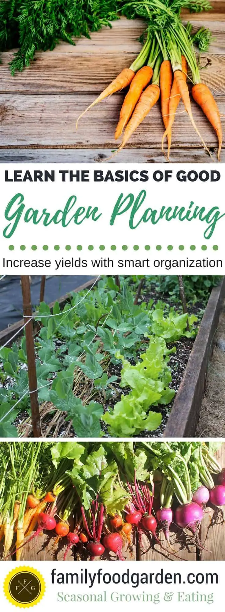 Figure out what your family buys & spends on produce to plan your best garden ever!