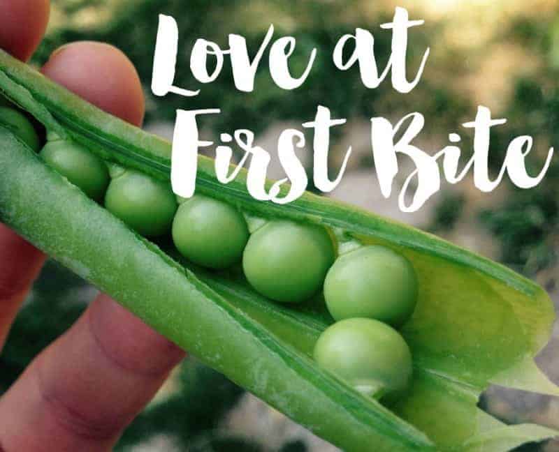 Gardening Inspiration- love at first bite