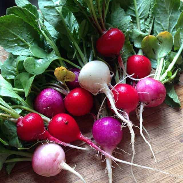 easter egg radishes