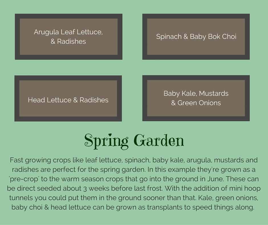 Plant list for a spring raised vegetable garden