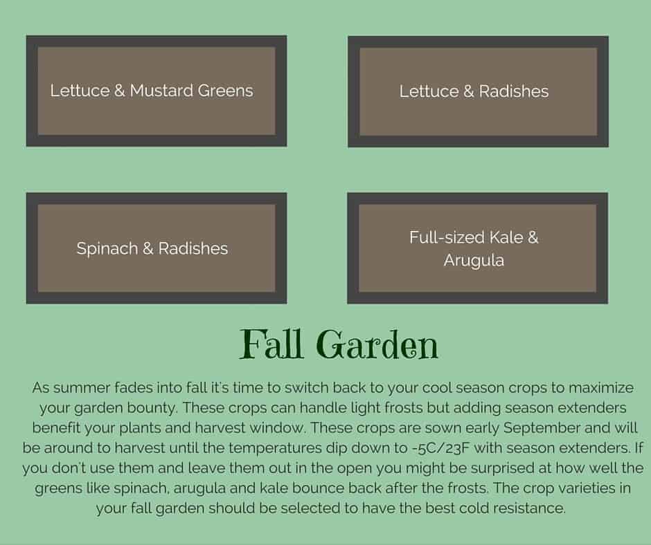 Plant list for a fall raised vegetable garden