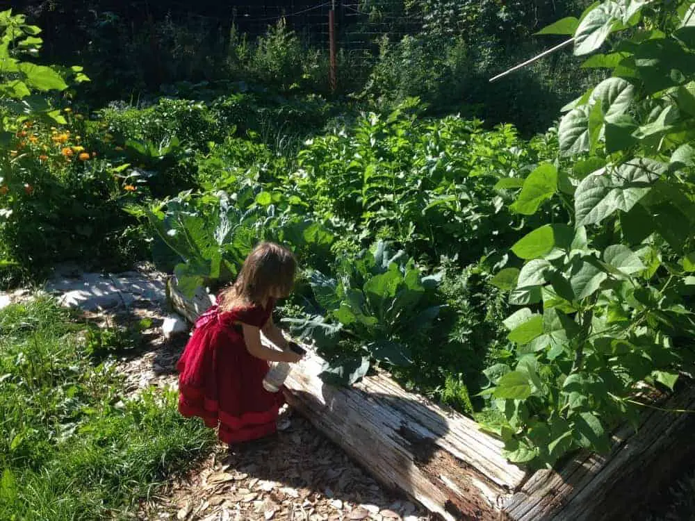 Children's Gardening