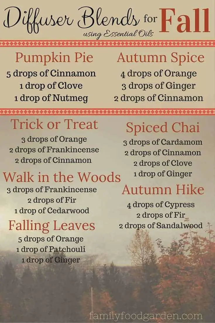 Essential oil diffuser blends for Fall 