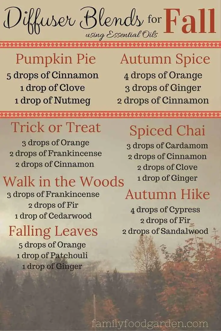 Fall Essential Oil Diffuser Blends