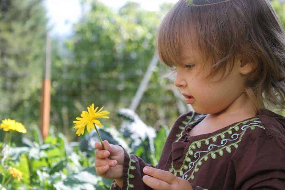 Flowers for a children's garden