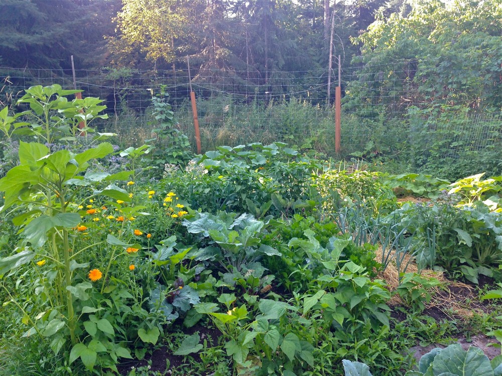 Permaculture gardening