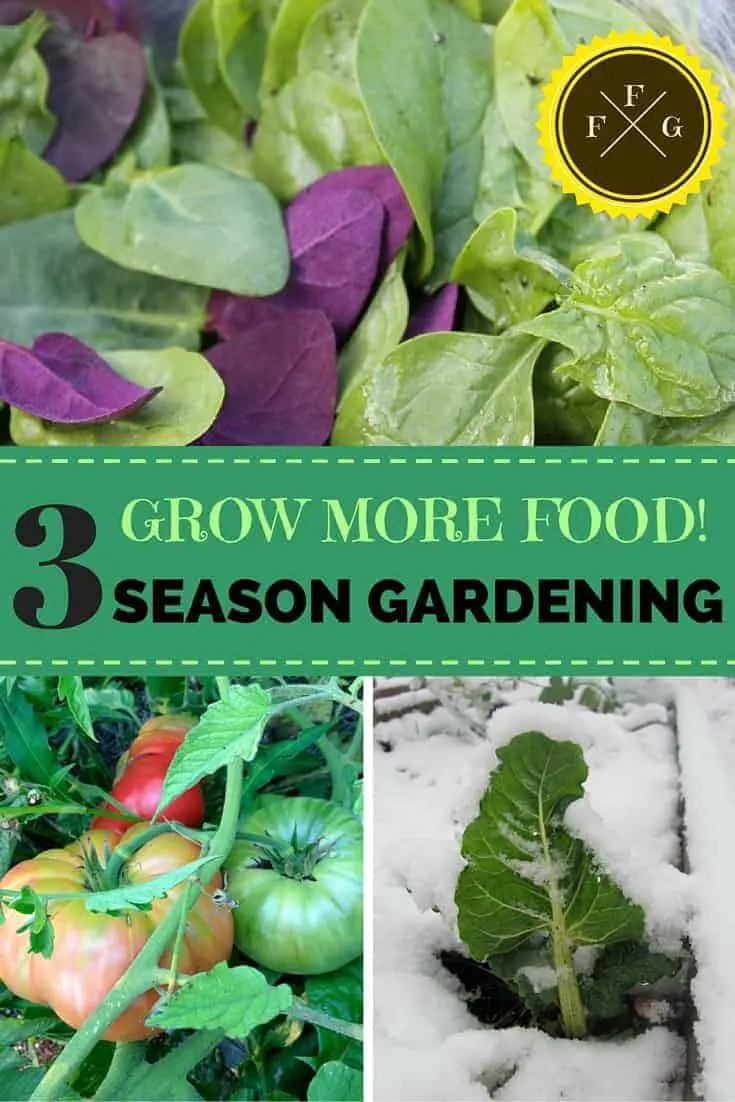 Grow more food! 3 Season Gardening + Design and Crop Examples