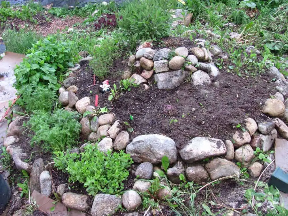 Instructions étape par étape sur la façon de construire une spirale d'herbes