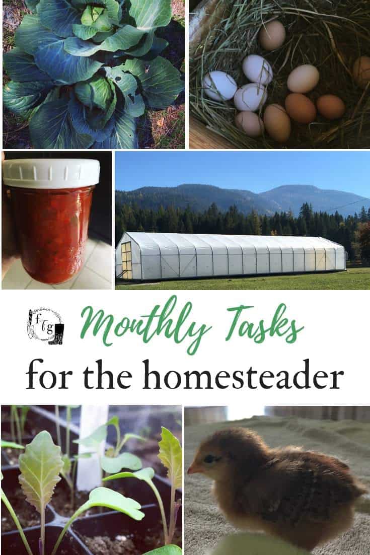 Monthly Tasks for the homesteader