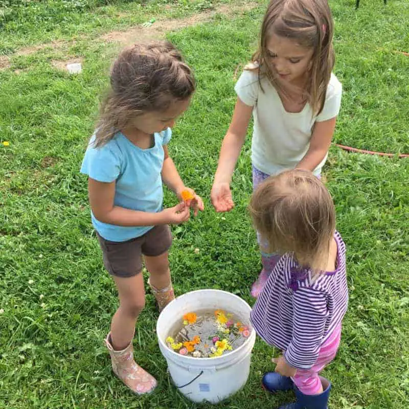 How to Make 'Fairy Soup'