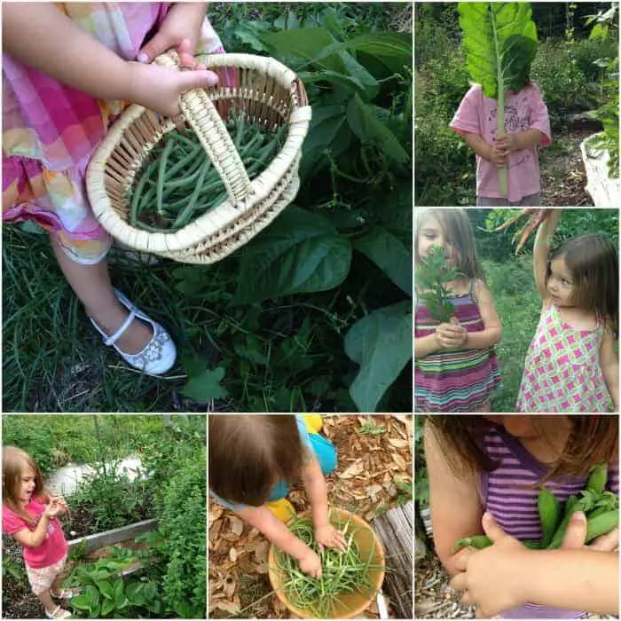 Kids Gardening 101- Tips for Gardening with Kids & Babies