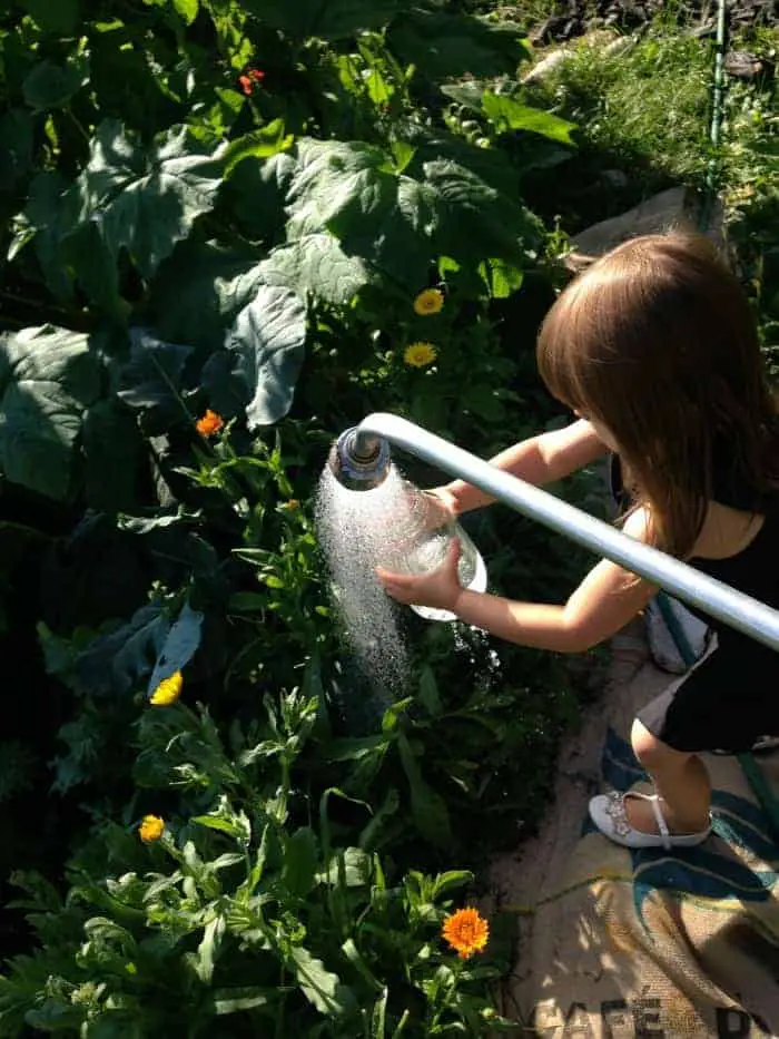 Kids gardening 