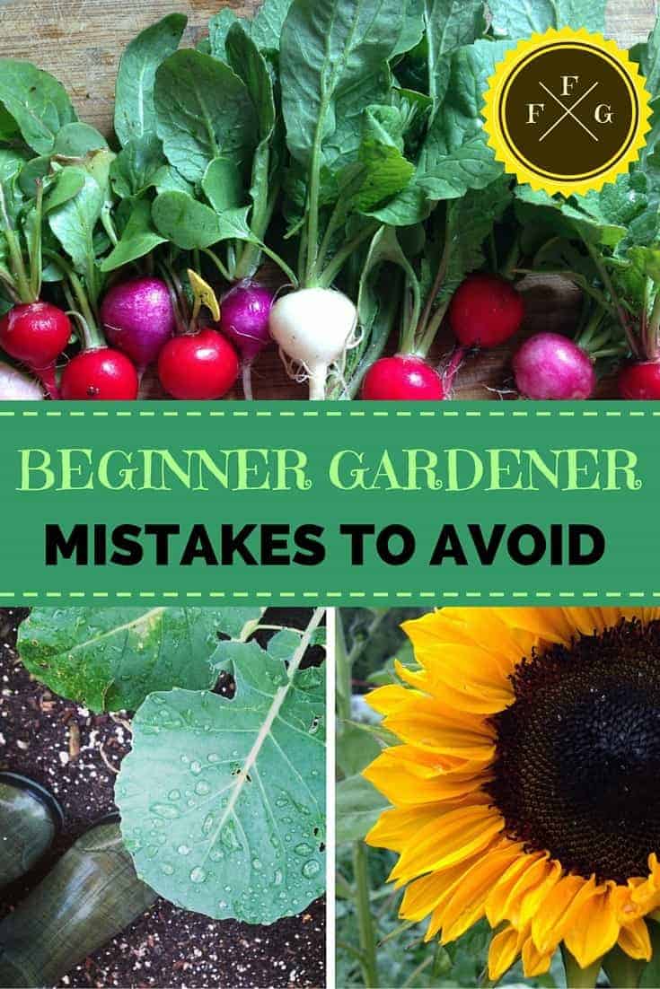 Beginner Gardener Mistakes to Avoid