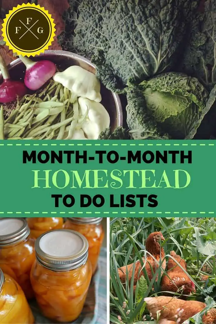 Organize your homestead with monthly to do lists #homestead #homesteading #selfsufficiency