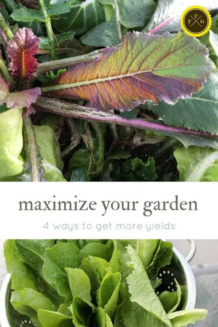 Grow more food by using ways to maximize yields