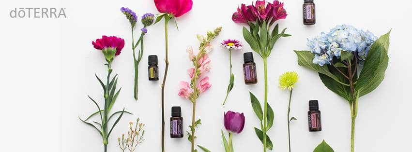 Where to Buy Essential Oils