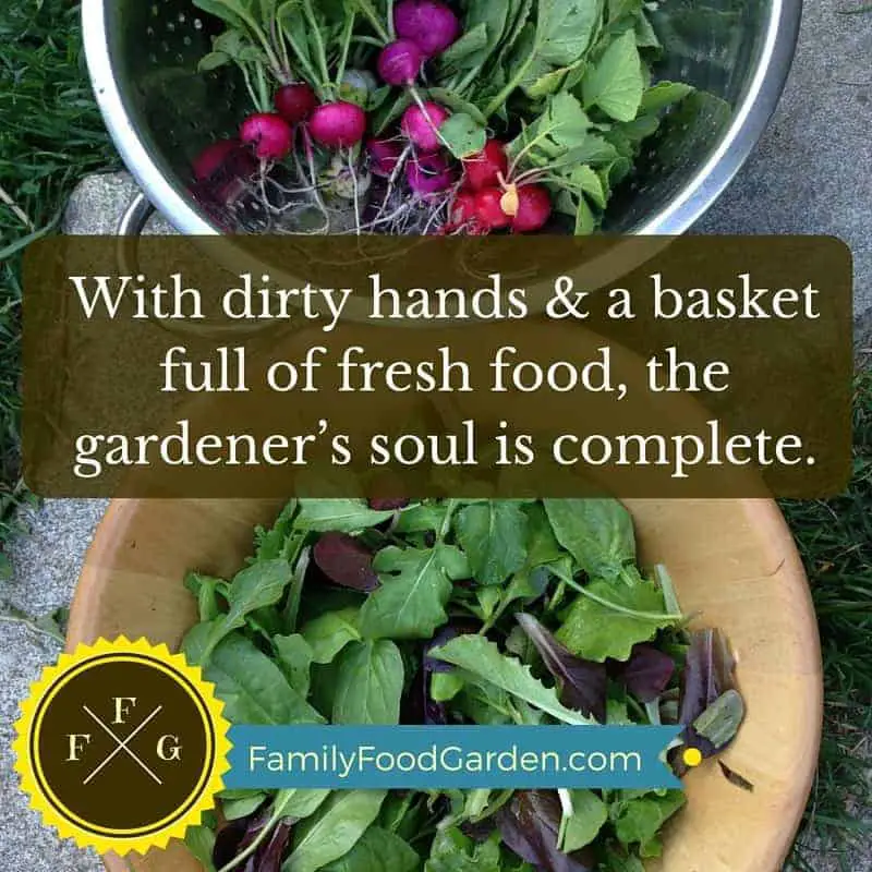 Gardening Inspirational Quote