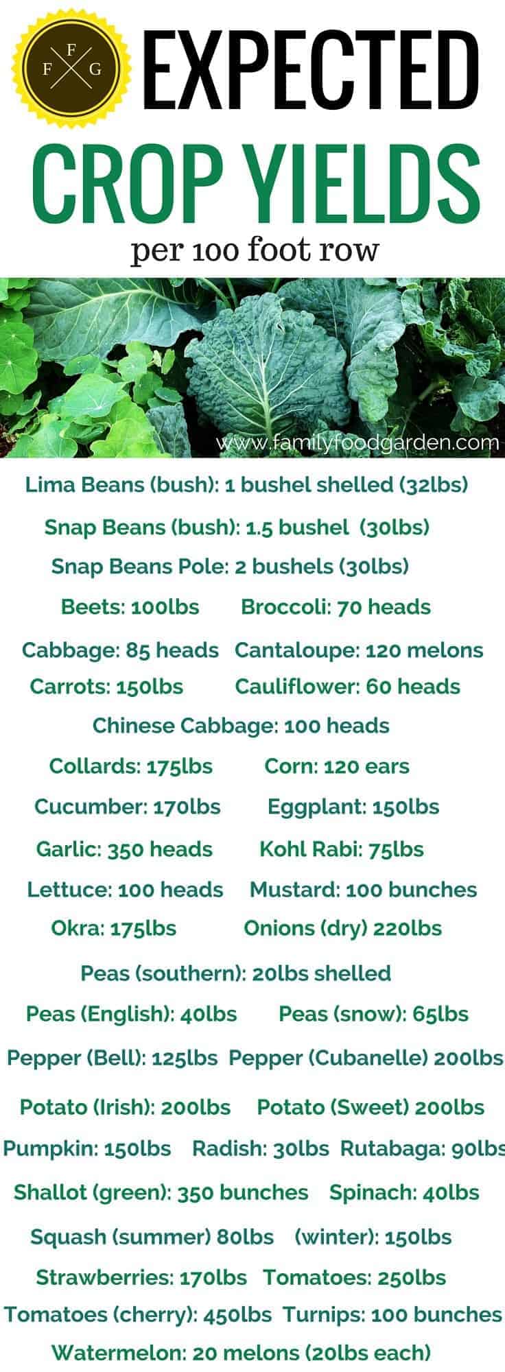 Expected Crop Yield/ per 100 foot row