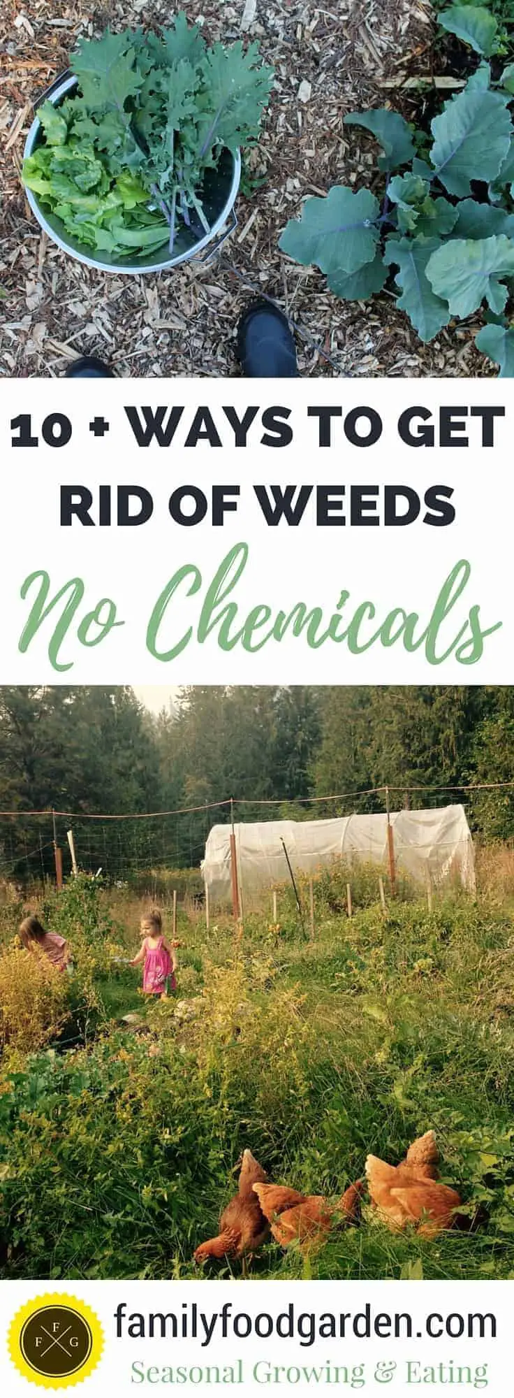 Remove weeds naturally & without chemicals!
