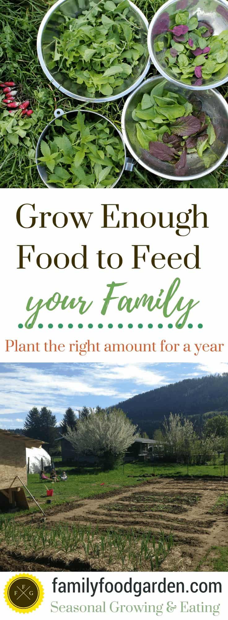 Grow Enough Food to Feed Your Family