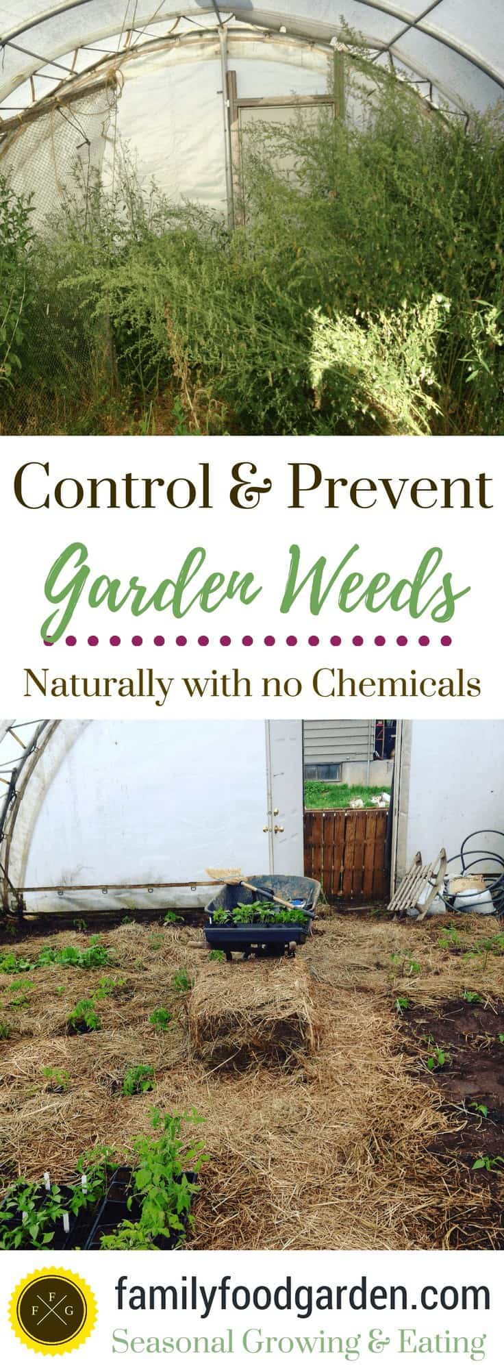 How To Clear Weeds Out Of Flower Beds Kill Garden Weeds Naturally