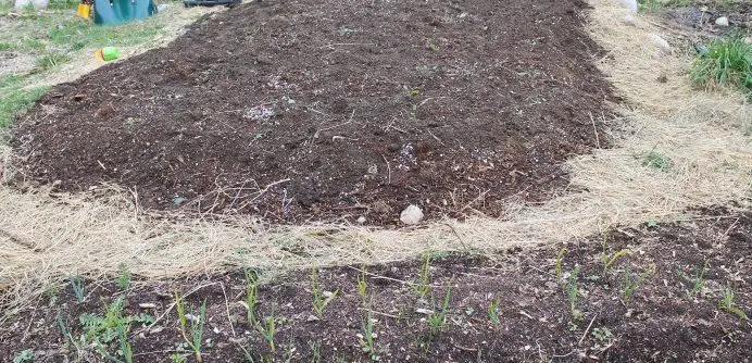 Permaculture sheet mulching/lasagna gardening