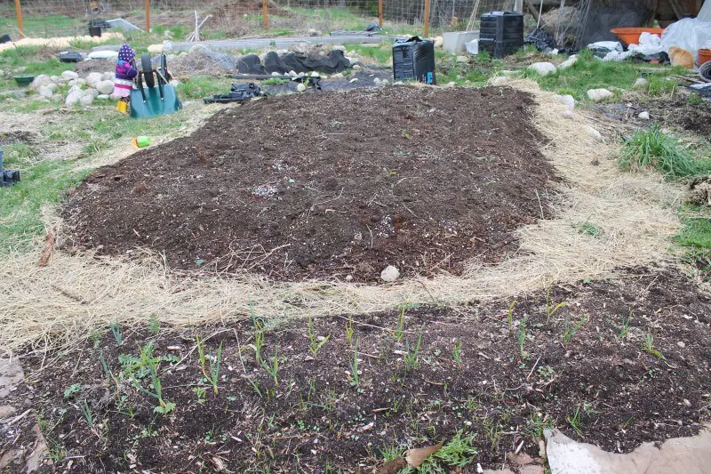 Permaculture sheet mulching/lasagna gardening