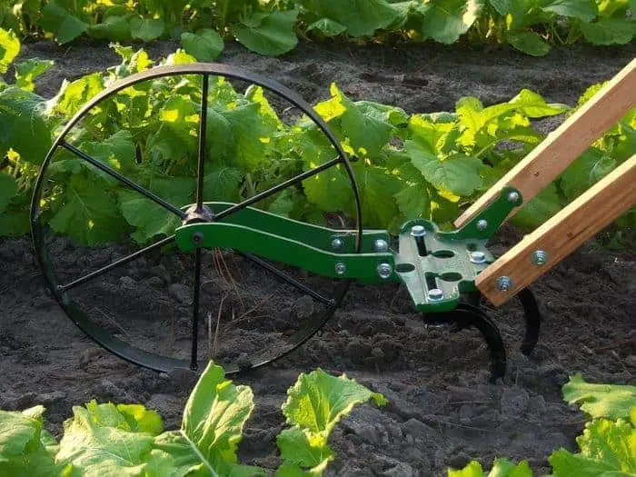 Weeding using garden Tools