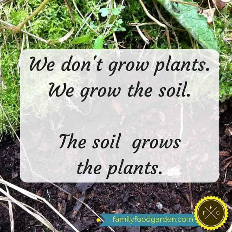 Gardening Quotes