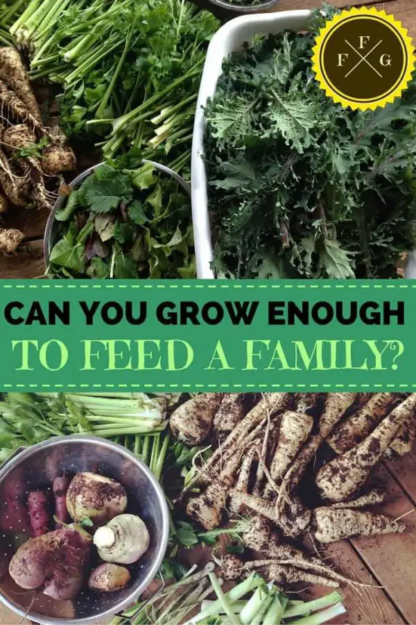 grow-enough-food-to-feed-a-family-family-food-garden