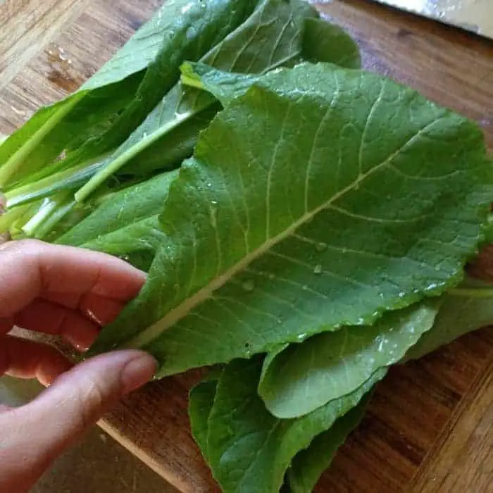 komatsuna- Growing these 5 asian/mustard greens for healthy fast food