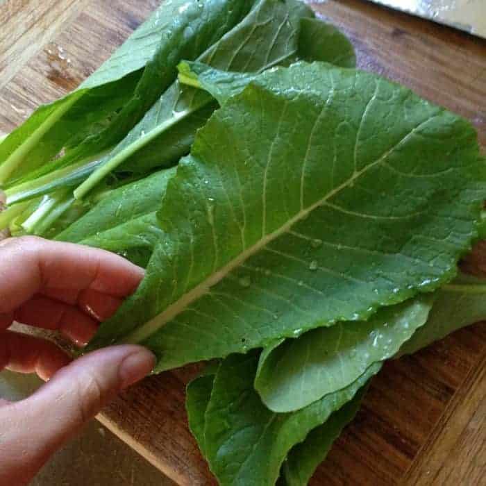 komatsuna- Growing these 5 asian/mustard greens for healthy fast food