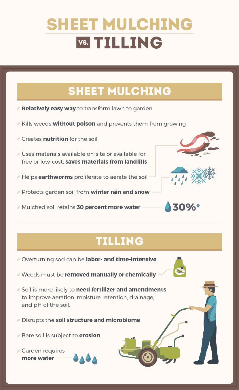 The pros and cons of sheet mulching versus tilling
