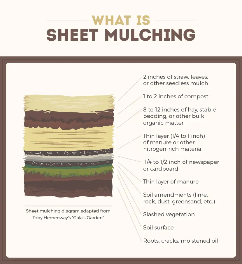 What is sheet mulching? The layers in lasagna gardening