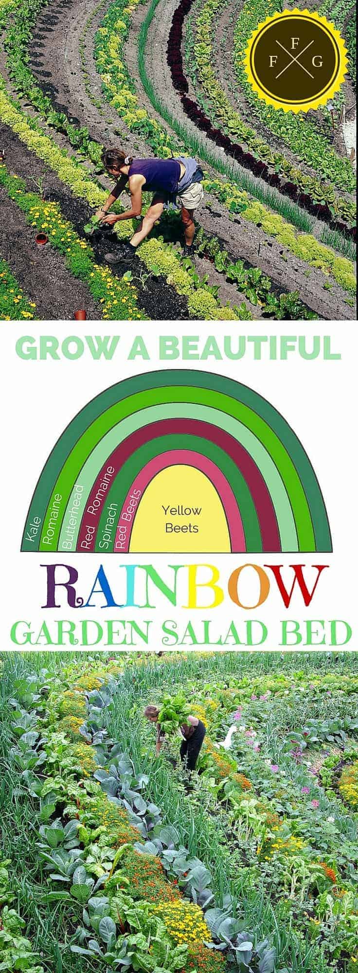 Edible Landscaping! Grow a beautiful garden salad rainbow! Healthy and pretty.