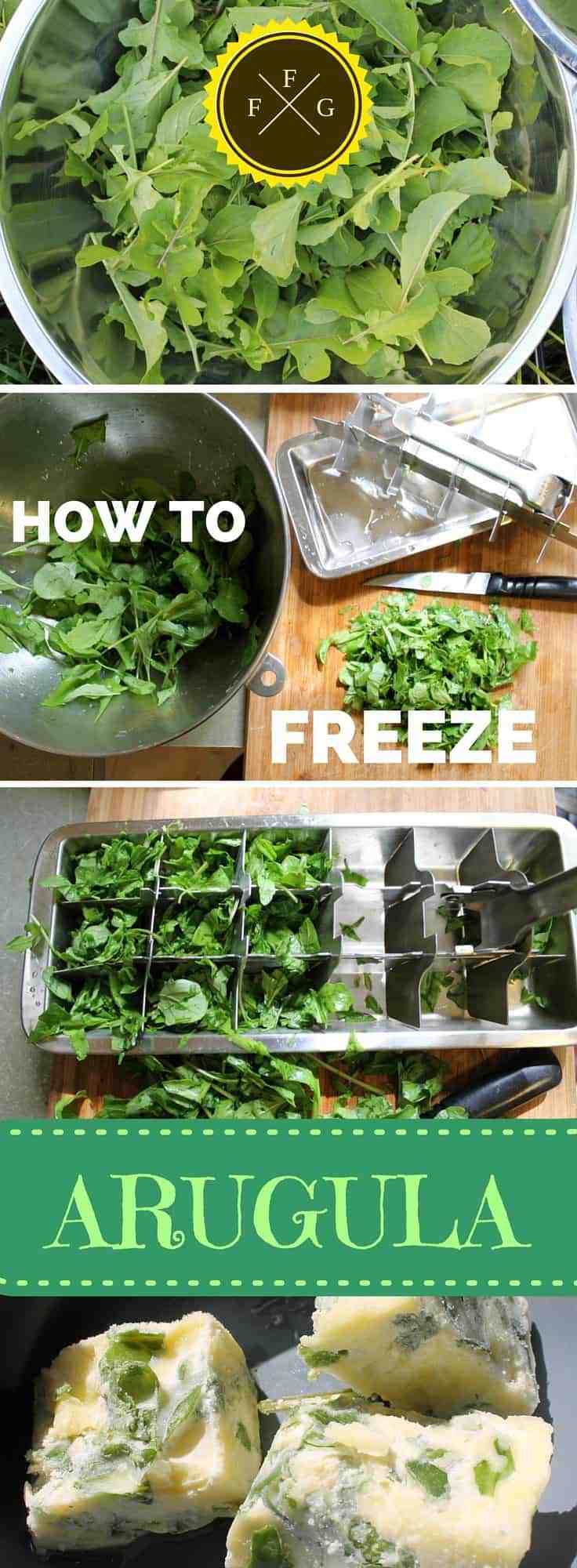 How to preserve arugula by freezing into olive oil cubes