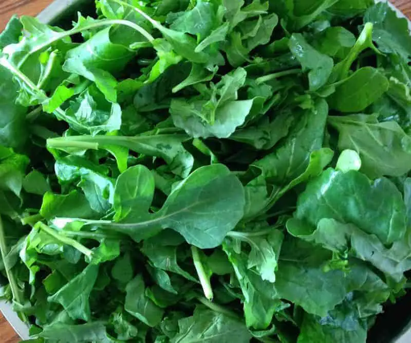 Arugula- overwinter for an early spring harvest