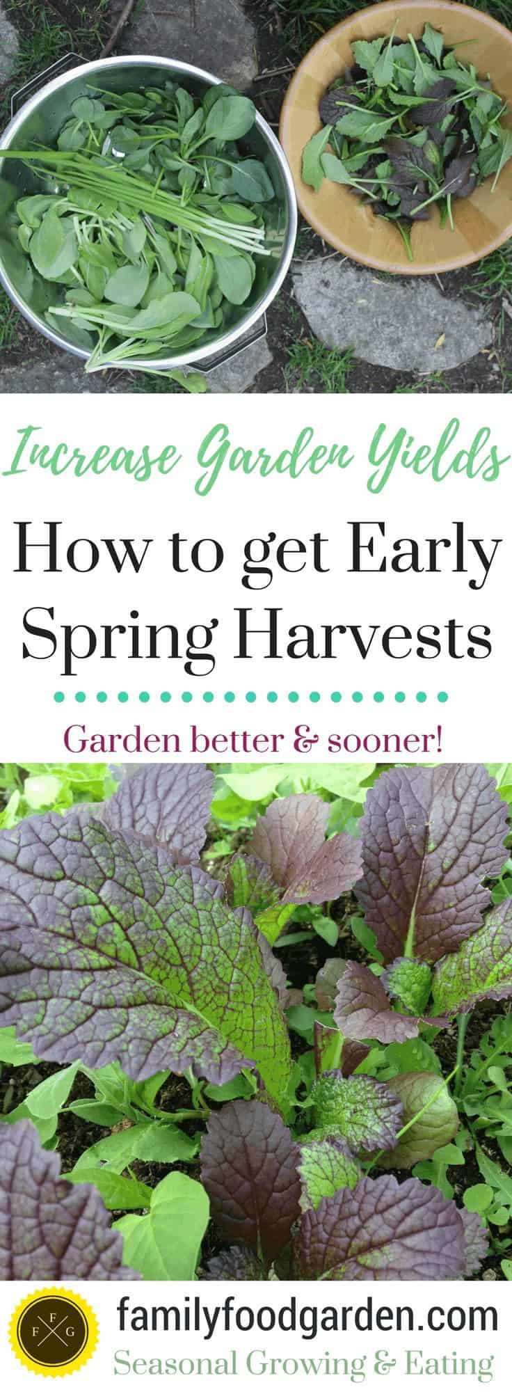 Spring Gardening to get Early Spring Harvests 