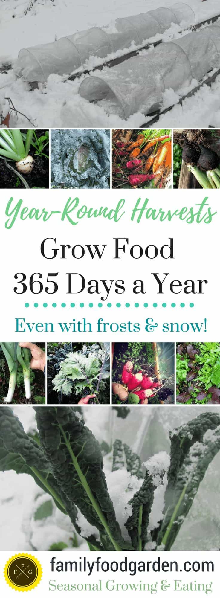 How to grow food year-round