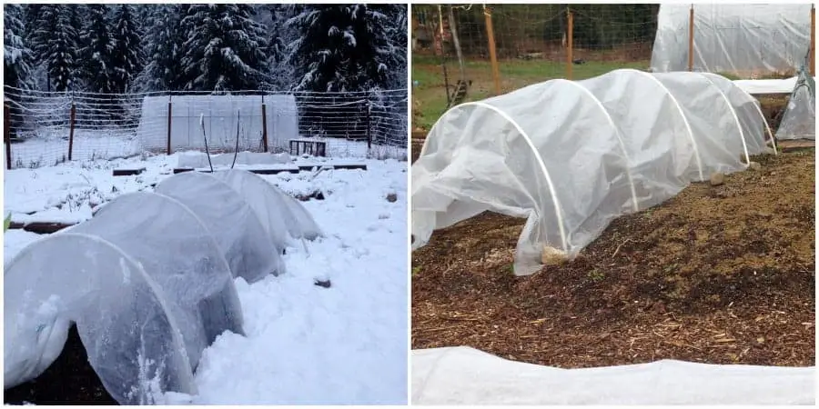 Hoop Tunnels as Season-Extending