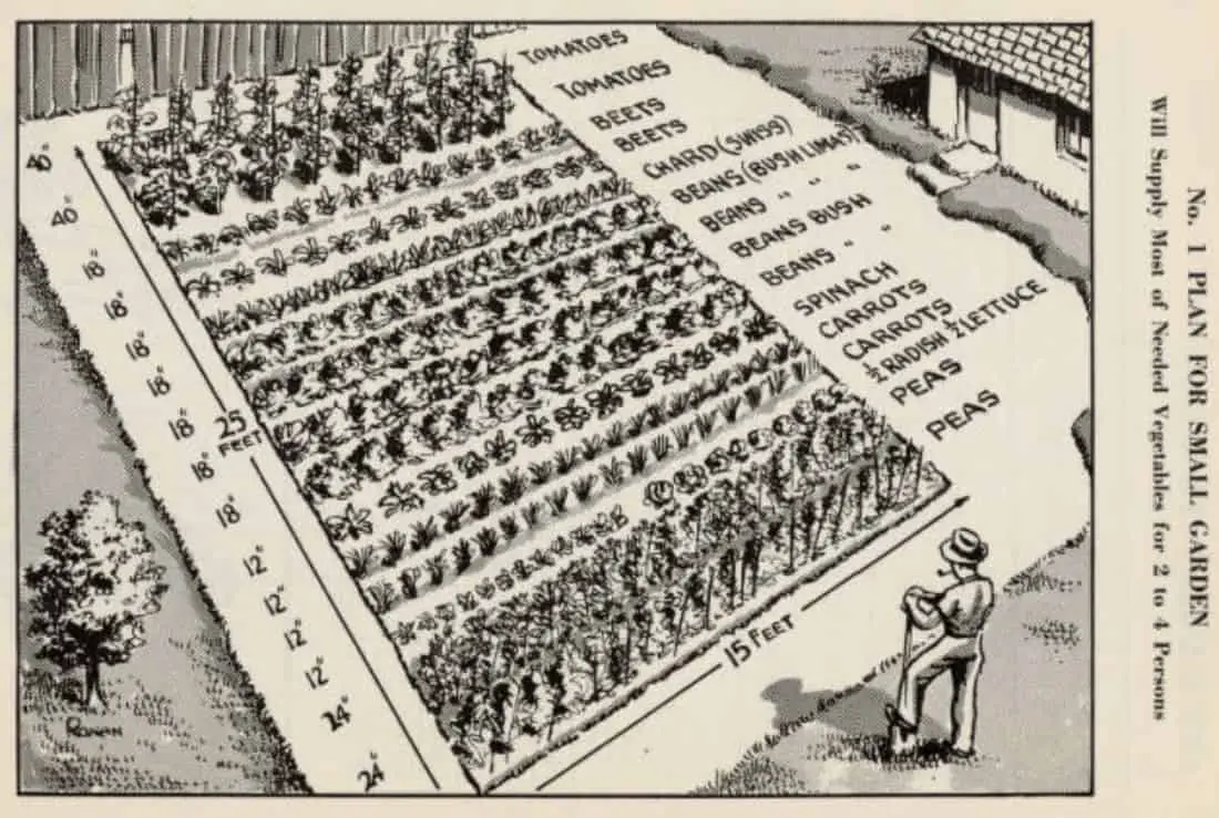 Victory Garden Detailed Crops to Grow