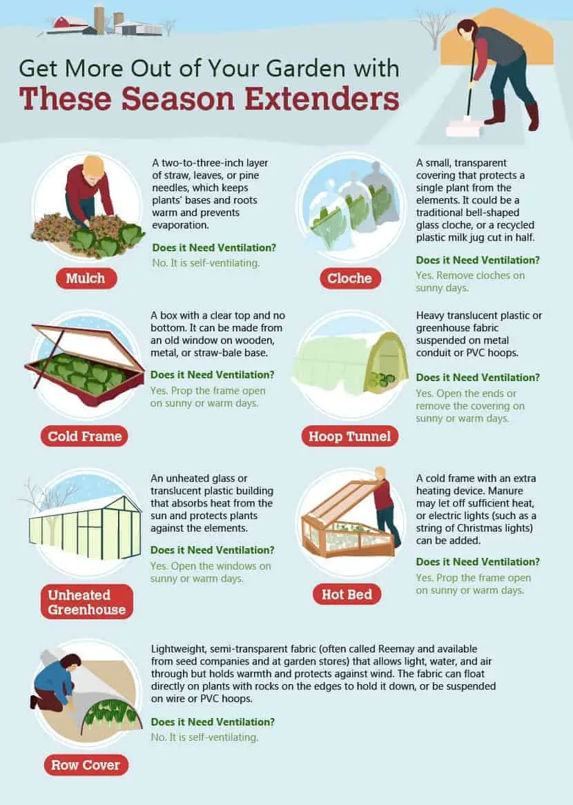 How to grow food year-round