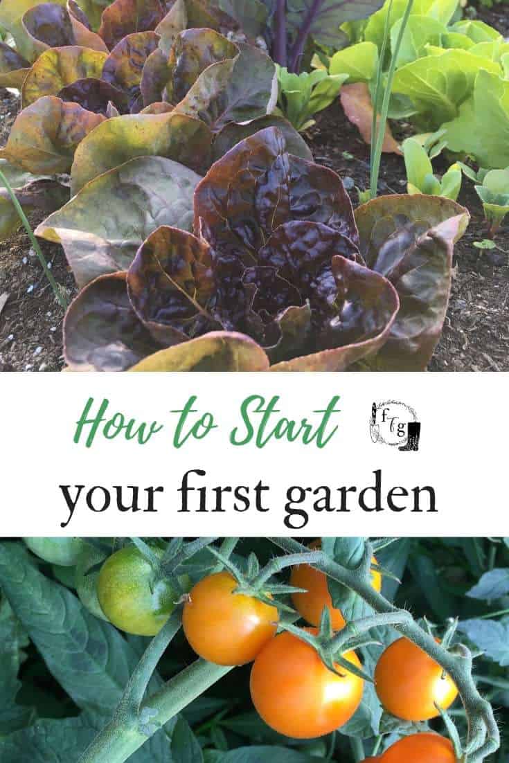 How to start your first garden