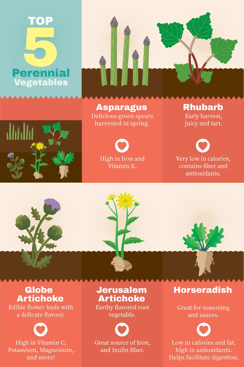 Top 5 Perennial Vegetables