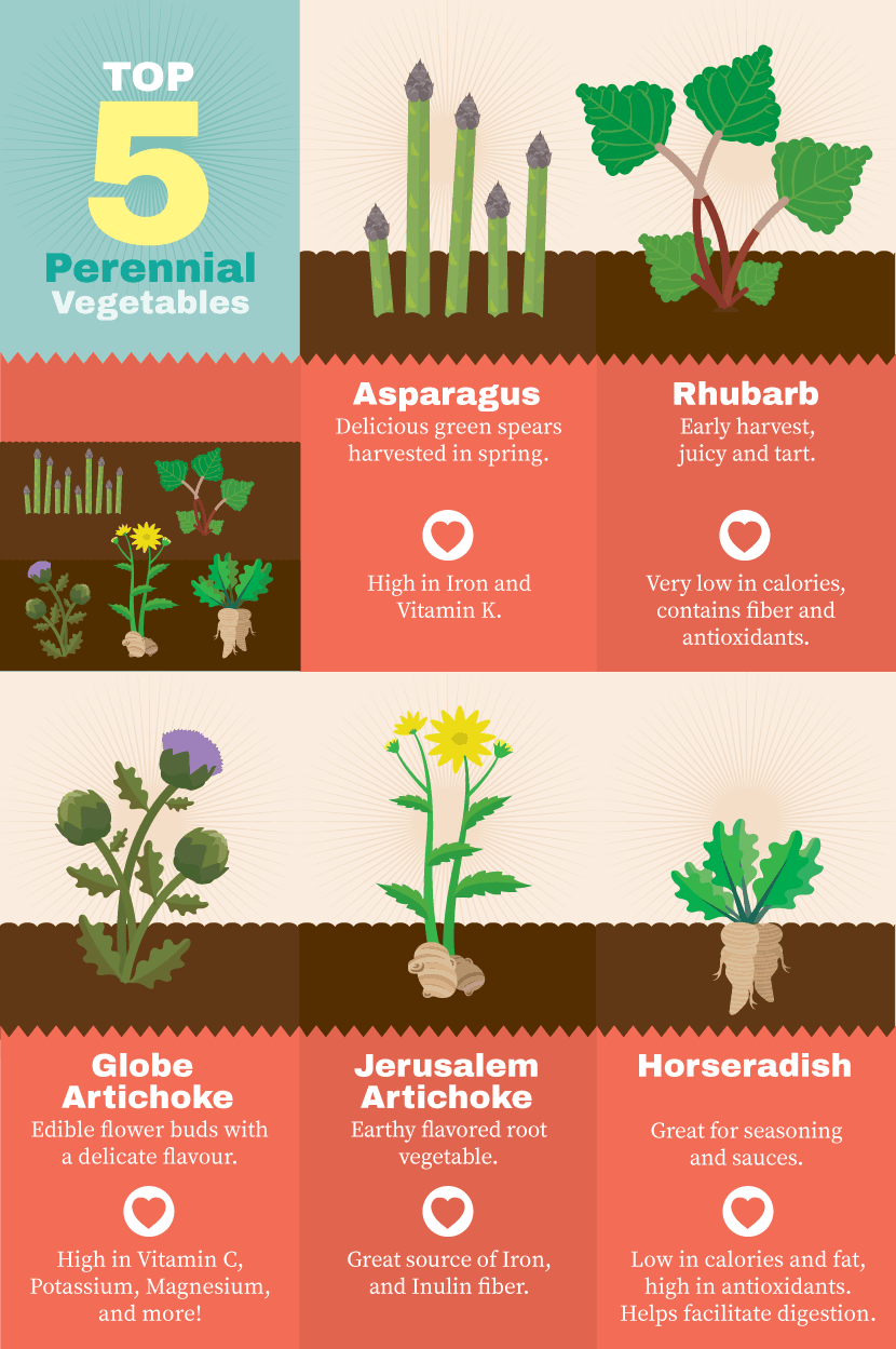 Top 5 Perennial Vegetables